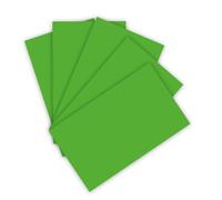 Folia 6355 Coloured Paper 130 g/m² Coloured Drawing Paper in Grass Green, DIN A3