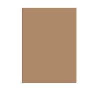 Folia Papier de couleur 6375 – Lot de 50 feuilles A3 130 g/m² Brun ambré
