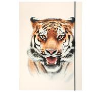 Folia 69004 - Chemise à Rabats A3 Basic Roaring Tiger, en Carton Solide avec élastique