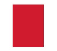 FOLIA BLOC DE 50 FEUILLES DE COULEUR POUR BRICOLAGE A3 130 G-M² 20 HOC