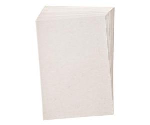 Folia Bringmann 950400 folia Pack de 50 feuilles de papier peau d'éléphant format A4 110 g/m² (Blanc) (Import Allemagne)