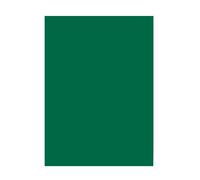 Folia Bringmann Fir 6358 DIN A3 Coloured Paper (50 Sheets) 58 Tannengrün