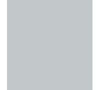 folia Carton d'argile (l)500 x (h)700 mm 220 g/qm argent mat 10 feuilles