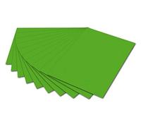 Folia Carton Photo 6155 -, 50 x 70 cm, 10 Archet, Vert