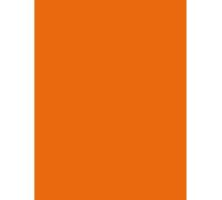 folia Carton photo (L)500 x (H)700 mm 300 g/m² orange clair 10 feuilles