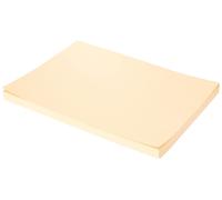 Folia Coloured Paper A4 100 Sheets 08 Beige