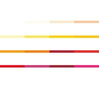 Folia Folia Bringmann-papier couleur a4-lot de 100 feuilles Rose (26)