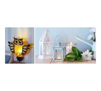 FOLIA Lumière décorative LED, 10 pièces, 20 piles incluses