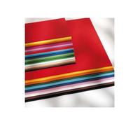 Folia Pack 10 Feuilles Papier De Couleur 50 X 70cm 130g Gris Clair