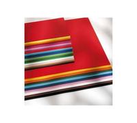 Folia Pack 10 Feuilles Papier De Couleur 50 X 70cm 130g Gris Clair