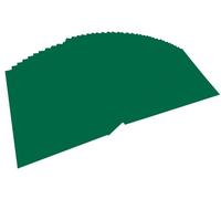 Folia Papier couleur A4 130 g/m² - lot de 100 feuilles - vert tannengrun (réf. 6458)