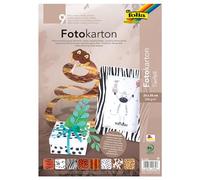 Folia Papier Dessin Carton Safari 25x35 300g - Pochette De 9 [Jouet]