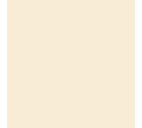 folia Papier toner (l)500 x (h)700 mm 130 g/qm beige 10 feuilles