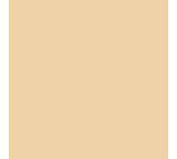 folia Papier toner (l)500 x (h)700 mm 130 g/qm chamois 10 feuilles