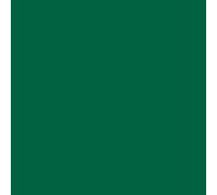folia Papier toner (l)500 x (h)700 mm 130 g/qm vert sapin 25 feuilles