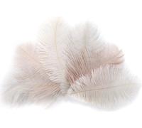 folia Plumes d'autruche Longueur : env. 170 mm couleurs assorties