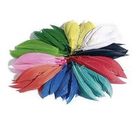 FOLIA PLUMES D'INDIENS, 10 G, ASSORTI NOIR 55119