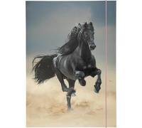 Folia Pochette De Rangement ¿ Dessins Basic Black Horse A3