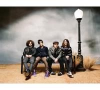 Folie a Deux [2LP Set] by Fall Out Boy [VINYL] NEUF