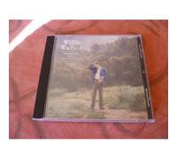 Folk Singer