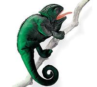 Folkmanis 2215 Chameleon
