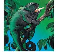 Folkmanis Chameleon