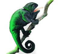Folkmanis Chameleon