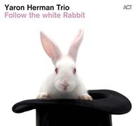 Follow the White Rabbit