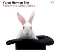 Follow the white rabbit