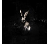 Follow The White Rabbit Vinyle