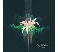 Folly & the Hunter Awake (Vinyl) 12" Album