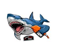 Folpus 2 Autocollants latéraux pour carrosserie de Voiture, Autocollant pour Camping-Car