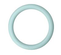 Folpus Anneau de Poids 4,5 kg, Kettlebell Portable pour intérieur et extérieur, entraînement à Domicile pour la Musculation et Le, Vert Clair