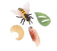 Folpus Cycle de vie des animaux d’abeille, figure animale de peinture à la main,