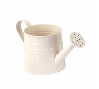 Folpus Mini arrosoir en métal 24.5x11.5cm, Pot de Fleurs Rustique Multifonctionnel pour Balcon Jardin, Maison Bureau Robuste, Blanc