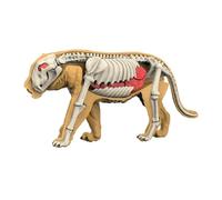 Folpus Modèle de corps d'animal pour l'apprentissage, matériel pédagogique, puzzle pour la démonstration de biologie animale en classe, idéal pour, 3107