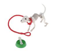 Folpus Squelette Os Artisanat Accessoires En Pstique