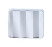 Folpus Tapis pour Chat, Solution de propreté intérieure, résistant aux déversements, Blanc