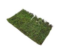 Folpus Touffes d'herbe miniatures, arbustes miniatures, modèle de feuillage artificiel à monter soi-même pour décors miniatures et réseaux ferroviaires, L