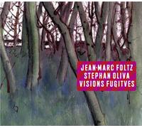 Foltz - Vision Fugitives