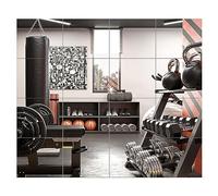 FOLUVUR Lot de 16 miroirs muraux en Verre Pleine Longueur 35,6 x 30,5 cm sans Cadre pour la Danse, Le Garage, Le Yoga