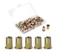 FOMGIIN 30 Pièces M10 écrous à Sertir, En Acier Au Carbone Galvanisé écrou Insert Riveter Manchon, Ronds Aveugles Insers Fileté Riveteuse, écrous à Rivets Flat Head Threaded Rivet Nuts