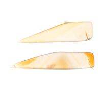 FOMIYES 1 Lot De 2 Outils D'Entretien De Bijoux Outil De Brunissage Chiffon De Polissage Pour Outil De Brunissage De Bijoux Outils De Polissage De Bijoux Brunissoir De