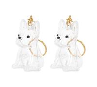 FOMIYES 2 Pièces Porte-clés Capsule Boîte ABS Transparent, pour Poils de | Rangement Discret pour Souvenirs, Format Voyage, Usage Commémoratif, Pendentif Mignon pour Amateurs de Chiens