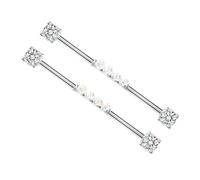FOMIYES 2pièces Boucles Oreilles Haltères Pour Cartilage Style Industriel Acier Titane Lot Pour Piercing Hélix Couleur Argent
