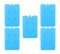 FOMIYES 5 Pièces Blocs Réfrigérants Portables en Plastique Bleu pour Glacière, Source Froide Stable, pour Sandales Femme Transport Chaîne du Froid