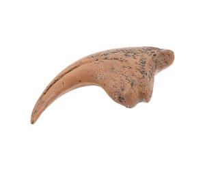 FOMIYES Décoration en forme de griffe de raptor, modèles de dinosaures réalistes en résine, accessoire décoratif pour enfants et adultes, figurine préhistorique en os, pour décor à thème