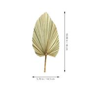 FOMIYES Feuille de Palmier Séchée Naturelle Verte, Décoration Murale Grosse pour Mariage et Fête, Feuille Décorative pour Arche et Intérieur, Accessoire D’Ambiance Authentique et Solide