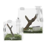 FOMIYES Lot de 2 Boîtes D’élevage Transparentes en Acrylique pour Araignées Sauteuses, Terrariums Compacts Ventilation Intégrée, Récipient à Insectes et Reptiles Adapté à L’élevage