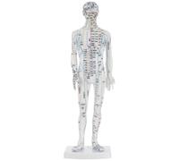 FOMIYES Modèle D'acupuncture du Corps Humain, Mannequin Méridiens Acupuncture, Medecine Traditionnelle Chinoise, Plastique Blanc, Outil Pédagogique Chinois pour t Maison